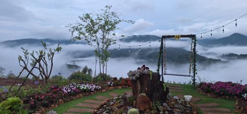 Kon Plong Cabin | Đỉnh Phong Homestay Săn Mây Măng Đen