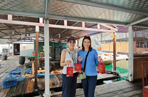 Cat Hai Hotel | ĐỨC TUÂN Hotel - Eco Stay