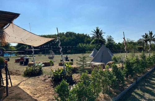 Buriram Other | ทุ่งนากางเต้นท์ Countryside
