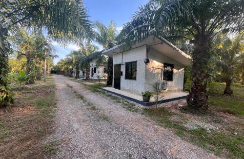 Chumphon House | บ้านสวนริมน้ำยางยวน 1
