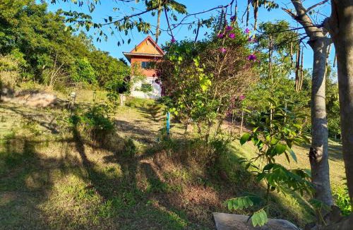 Khao Kho Cabin | ไร่บริสุทธิ์