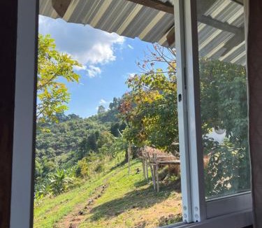 Chiang Rai Province House | ไร่บุญธรรม