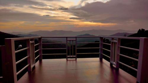 Tap Tao Resort | ไร่ร่มโพธิ์ทองรีสอร์ทภูชี้ฟ้าเชียงราย