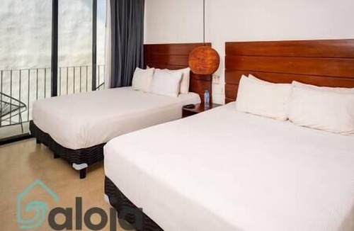 Venustiano Carranza Hostel | 304 - Magnific suite with magic rooftop up to 4 ppl