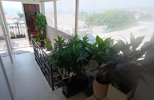 Old Quarter House | 49homestay