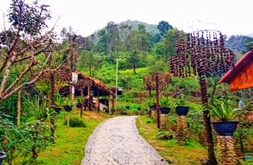 Tam Duong Apartment | A Páo Homestay