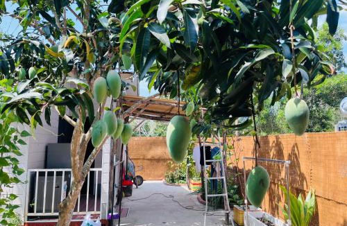 Cua Can Village House | AHK Garden House, a modern house, near the beach