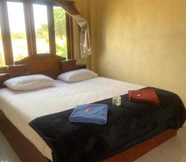 Don Det Apartment | AllNew bangalow Don det