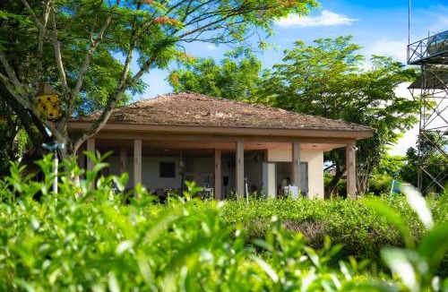 Bao Loc Cabin | Amavi Vườn Trà