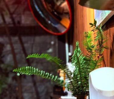 Hanoi Ski Chalet | Amber Mono