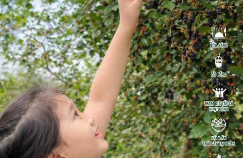 Pleiku House | An Nhiên Farmstay & Resort