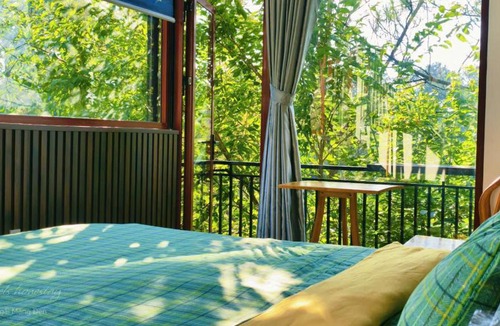 Kon Plong House | Angels Homestay & Coffee - Măng Đen
