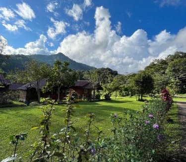 Chom Thong House | Angha forest view บ้านอุ่นรัก