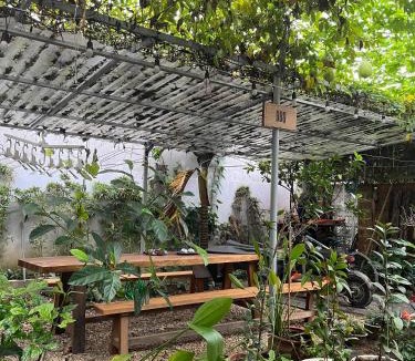 Son Tay House | Asahi Luxstay - Homestay Đường Lâm Hostel