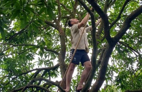 Cau Ke House | Authentic Mekong Delta Family Stay