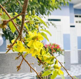 Mui Ne House | Bi Ti Guest House Mui Ne - Private Beach & Coffe