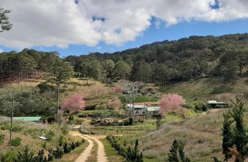 Lac Duong Cabin | BTR Farm