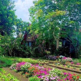Buon Ma Thuot House | Buon'S garden
