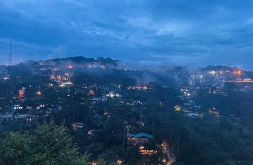 Da Lat Cabin | Cú Trên Cây Homestay