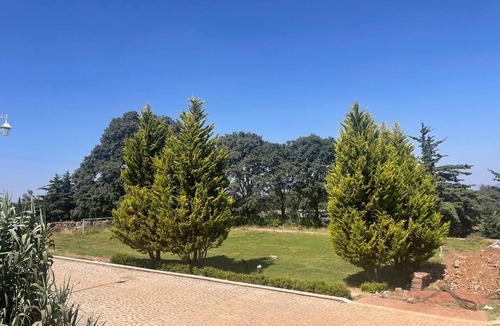 Amealco Cabin | CABAÑAS ALDEA GOTICA