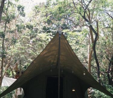 Koh Lan Other | Cabin Home อยู่ป่า wild and free