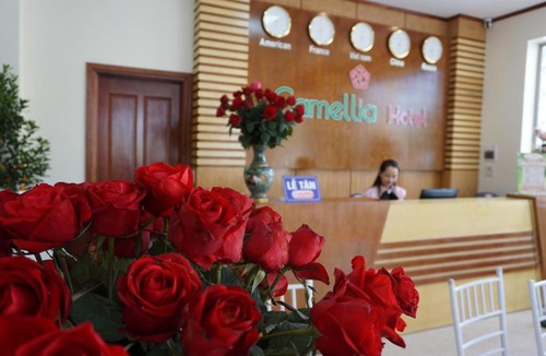 Thanh Hoa Hotel | Camellia Hotel