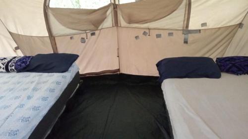Calakmul Other | Campamento Yaax Che en Calakmul