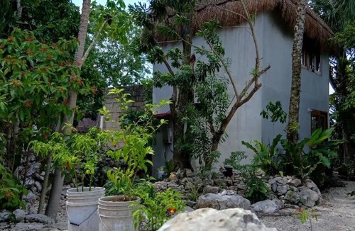 Coba House | Casa Ik en Coba