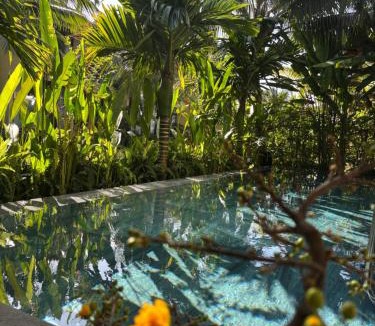 Cam Ha Apartment | Casa Villa Hoi An - View sông lãng mạn, hồ bơi riêng