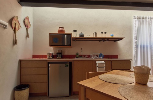 Centro Apartment | Casona Juárez - Porfirio/private plunge pool