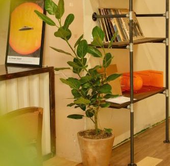 District 5 Apartment | Central Ho Chi Minh City Apartment, Lam House