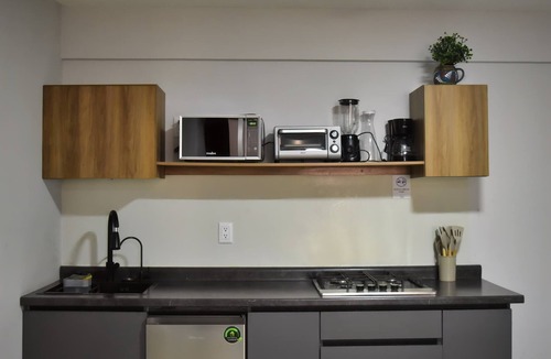 Centro Historico Apartment | Centro Histórico Hermoso Depa. 102