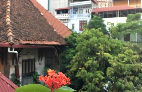 Truc Bach House | Ceramic Vie De Maison/Ba Dinh Hanoi