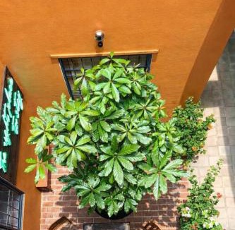 Bac Lieu Hotel | Chí Hiếu Homestay