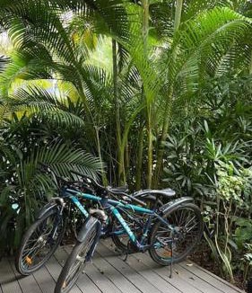 Ngoc Thanh Villa | Charm Villa - Đại Lải