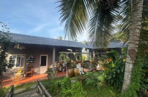 Mo Cay Bac House | Coco Farmstay