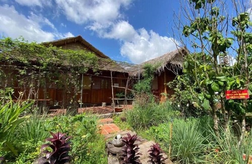 Long Ho House | COCOHOMEVL