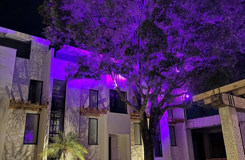 Cholula House | Cozy 1 bedroom, 2 full bathrooms, sofa Beth in living room, full security.
