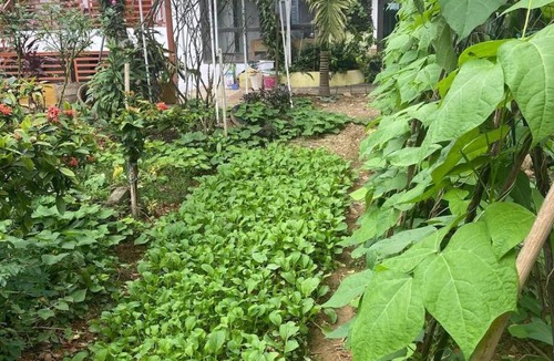 Yen Bai Apartment | Cozy Haven Nest - Sunlit Glass House & Garden View