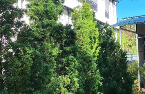 French Quarter House | Cozy Homestay with Garden & BBQ, very close to Dalat market