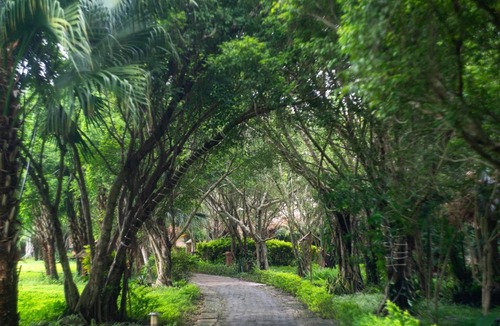 Cuc Phuong Resort | Cuc Phuong Mineral Retreat