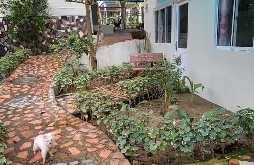 Duong Dong Bed & Breakfast | Davi hostel