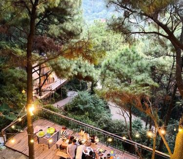 Soc Son Villa | DE'BAY VILLA - Stone house in the forest