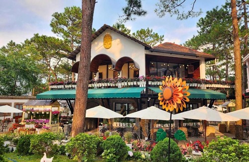 Kon Plong Hotel | De Vivre Homestay Măng Đen