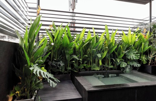District 3 Apartment | Deep Blue Studio@Saigon's alley with Rooftop Onsen