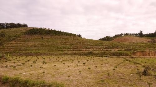 Bao Loc Other | Ditrek Adventure