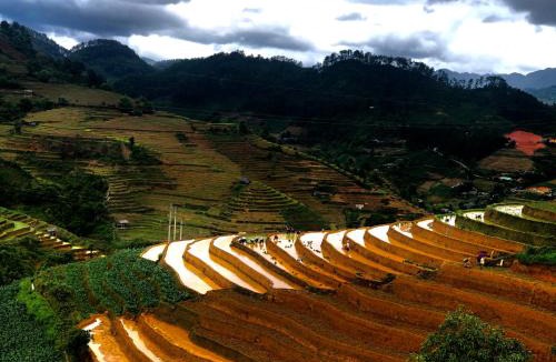 Mu Cang Chai House | Do Gu Homestay