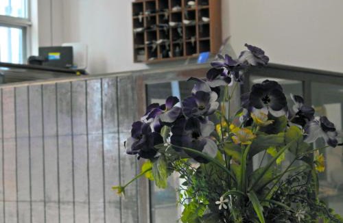 Tecolutla Hotel | Don Luis Hostal - Sucursal Hidalgo - Tecolutla