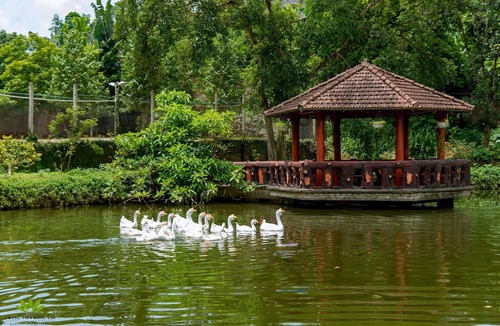Luong Son Hotel | Dong Goi Eco Retreat