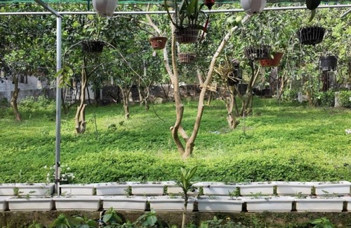 Son Tay Bed & Breakfast | Double Room with Garden View